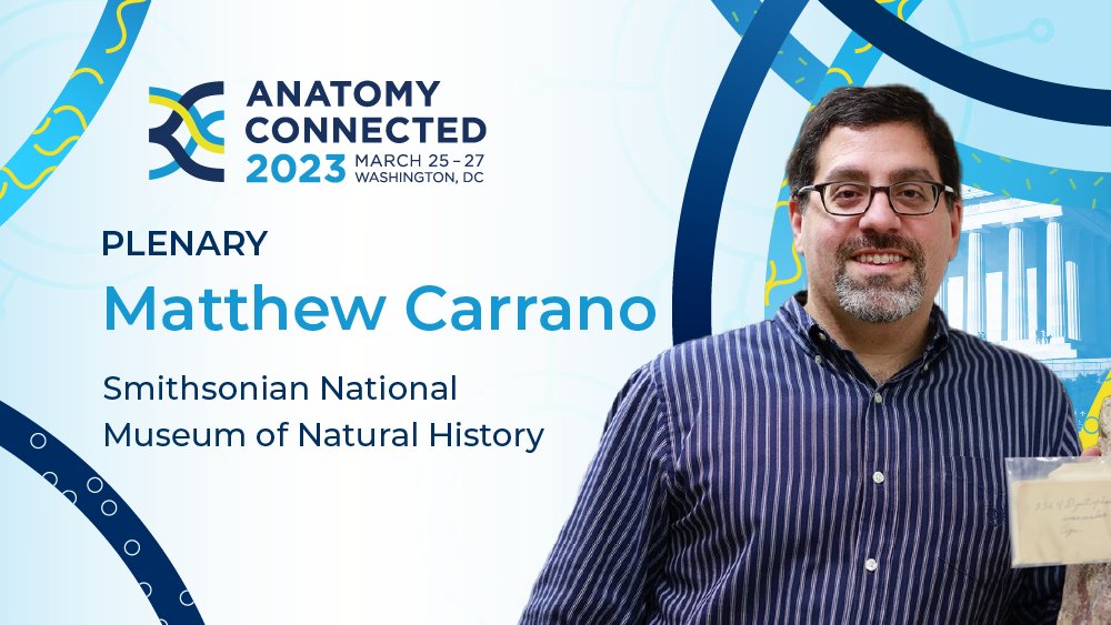 American Association for Anatomy (@anatomyorg) on Twitter photo The Smithsonian’s National Museum of Natural History <a href="/NMNH/">Smithsonian NMNH</a> Curator of Dinosauria, Matthew Carrano, will be kicking off #Anatomy23 with his plenary lecture!
See the full program here: anatomy.org/AnnualMeeting/…
#AnatomyConnected2023 #Anatomy The Smithsonian’s National Museum of Natural History <a href="/NMNH/">Smithsonian NMNH</a> Curator of Dinosauria, Matthew Carrano, will be kicking off #Anatomy23 with his plenary lecture!
See the full program here: anatomy.org/AnnualMeeting/…
#AnatomyConnected2023 #Anatomy