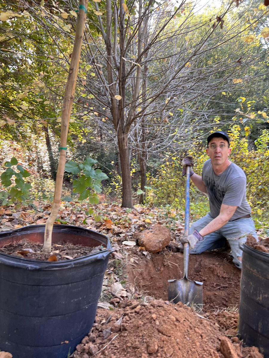 Acuity_co's tweet photo. A few highlights from Acuity’s @TreesAtlanta volunteer day this past Friday! Our team planted 65 trees 🌳❤️
#acuity #service #volunteer #trees #planting #treesatlanta #atlanta https://t.co/gEV3s3S1Hh