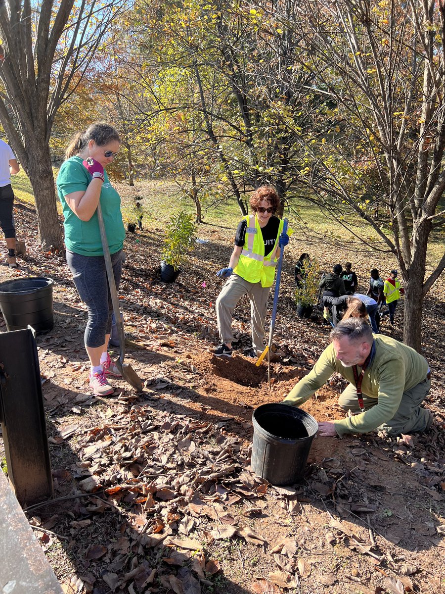 Acuity_co's tweet photo. A few highlights from Acuity’s @TreesAtlanta volunteer day this past Friday! Our team planted 65 trees 🌳❤️
#acuity #service #volunteer #trees #planting #treesatlanta #atlanta https://t.co/gEV3s3S1Hh