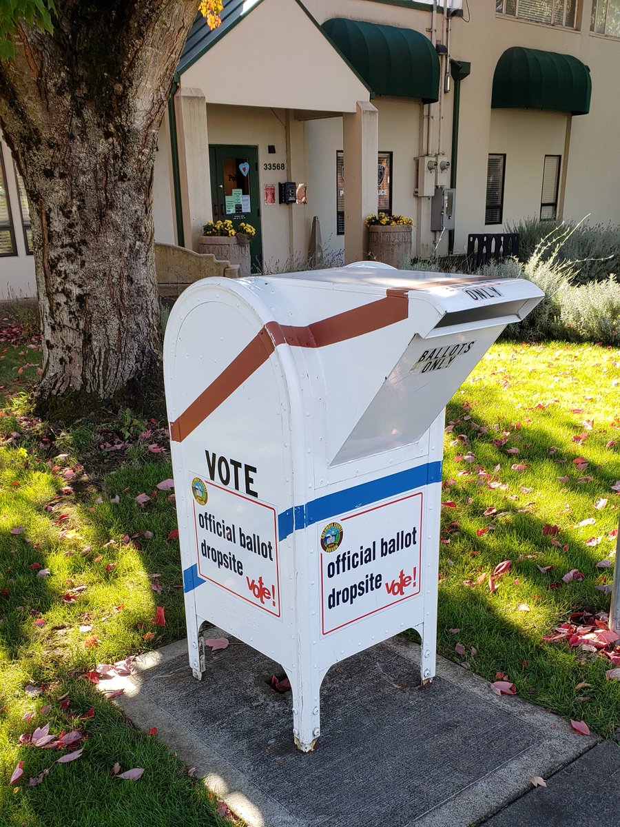 Have you voted yet? Ballots must be returned to a drop box or mailed and postmarked by 8 PM tomorrow, November 8th. There's a drop box around the corner from the library, in front of Scappoose City Hall!