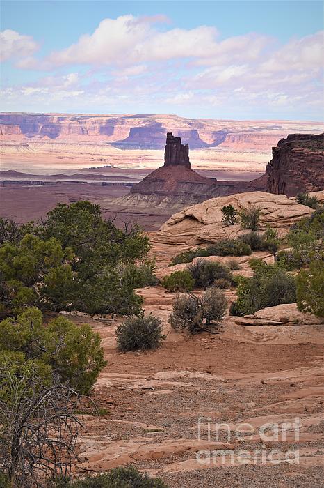 sfeaccount's tweet photo. New artwork for sale! - "Canyonlands Monoliths" - https://t.co/YWHrTyuFb2 @fineartamerica https://t.co/KnMXBcFiSi