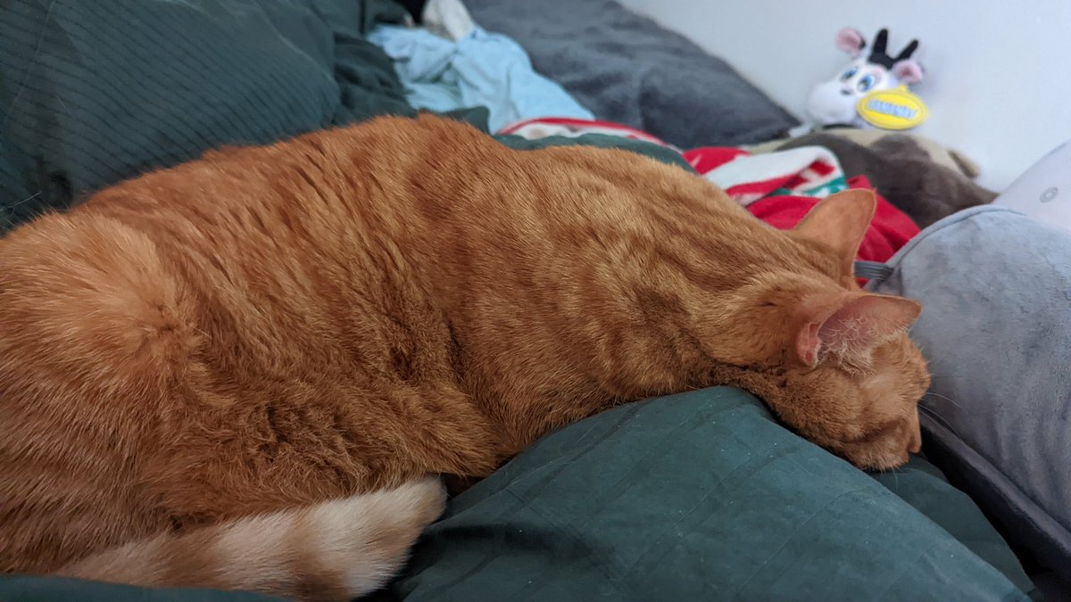 von_b's tweet photo. Every day she's peezling #dailypebbles https://t.co/v0bNgCPqL9