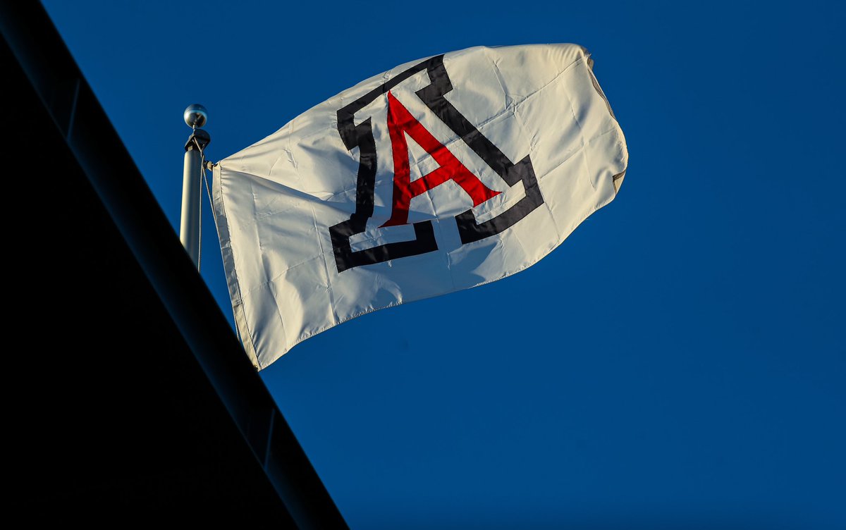 Registration for our Holiday Camp is open now! 

Sign up below ⬇️ 
caitlinlowecamps.com