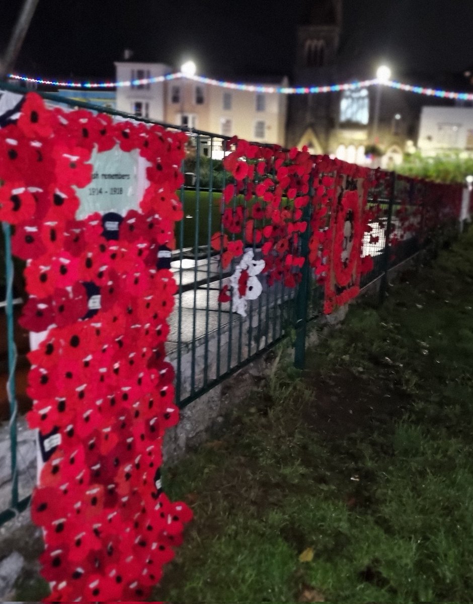 RibbonofPoppies's tweet photo. The Dawlish poppy wall lovely to see different poppy colours in amongst the display
#CreatingRemembrance
#Devon https://t.co/PF9dHxO3VO