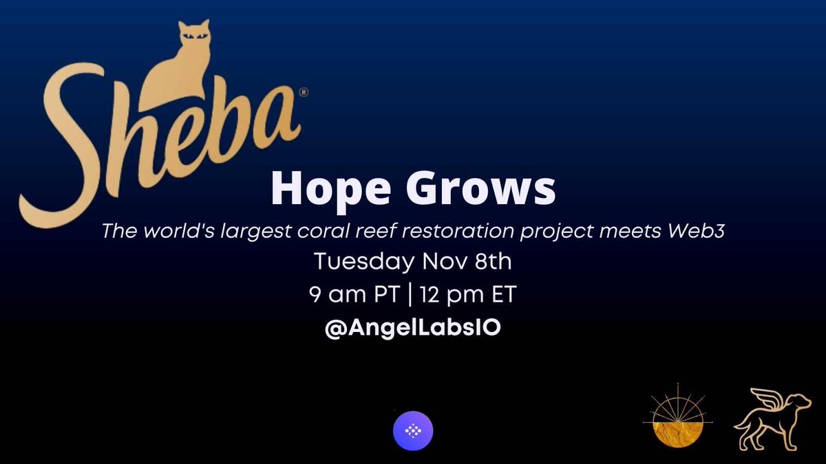 Angel Labs (😇,🦮) tweet media