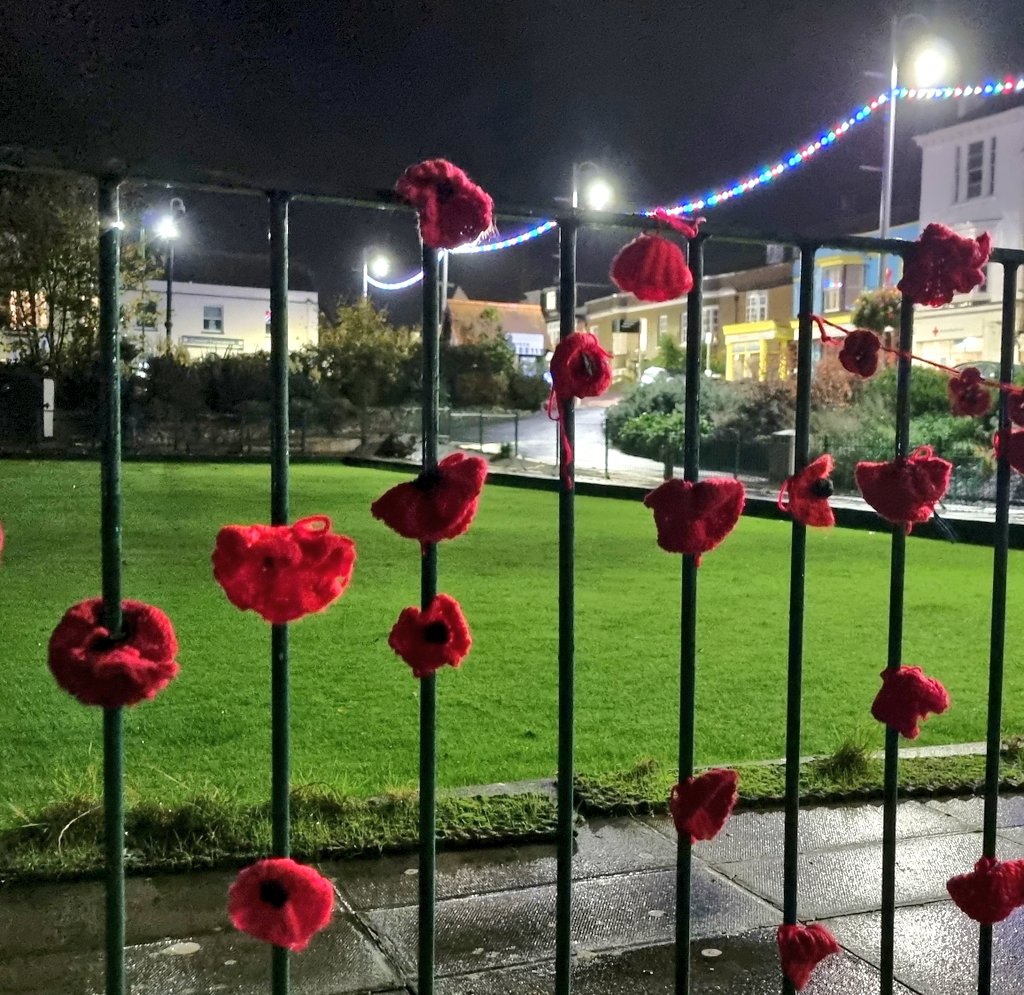 RibbonofPoppies's tweet photo. The Dawlish poppy wall lovely to see different poppy colours in amongst the display
#CreatingRemembrance
#Devon https://t.co/PF9dHxO3VO
