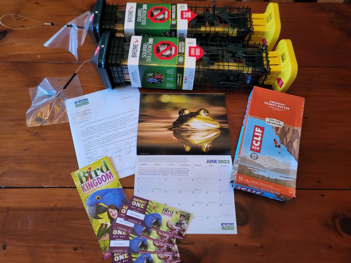 rachrichphoto's tweet photo. So excited to share that one of my photos was picked for the Nature Canada calendar. Over 6300 entries. I knew crawling under the dock would pay off! Thanks Frederico and Nature Canada! #frog #photocontest #naturecanada #prizes #soproud #imbragging @KMacTWN https://t.co/406eetCvzc