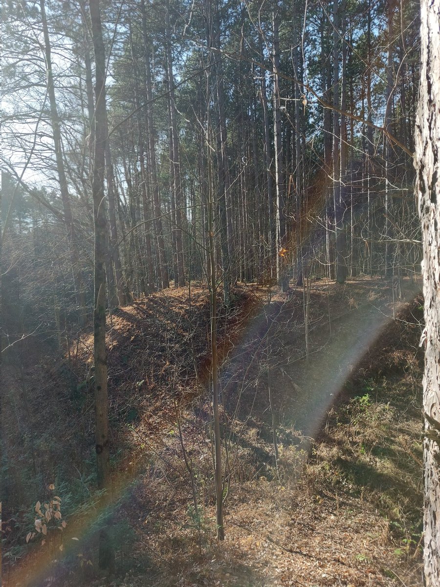 AdlessMozy's tweet photo. Rohan's world, Tirnanogh. A beautiful, lush planet where thd ancestral ways of living are preserved.
#TheRedFox
#HouseofDanu
#scifi
#scifibooks
#WritingCommunity
#writerslife https://t.co/tJmWYhK8bw