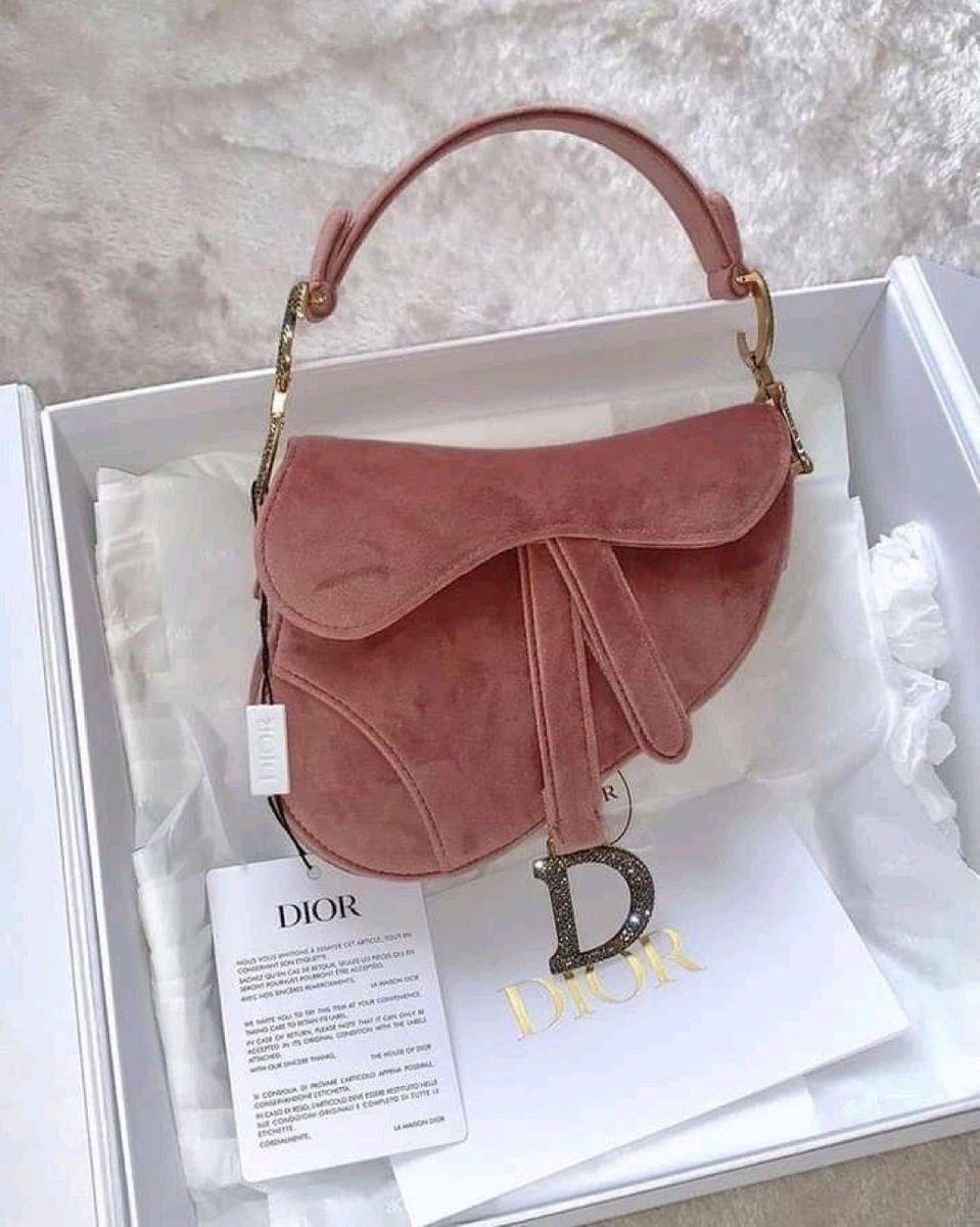 dior saddle bag