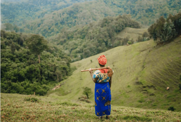 AniDasguptaWRI's tweet photo. JUST ANNOUNCED: a new $2 billion fund will flow directly to people on-the-ground restoring land across Africa.

This huge public and private investment in @Afr100_Official shows us what finance for climate action can look like at scale. 

Learn more: https://t.co/RUFgZAwnWg https://t.co/9kBhRMgfhr