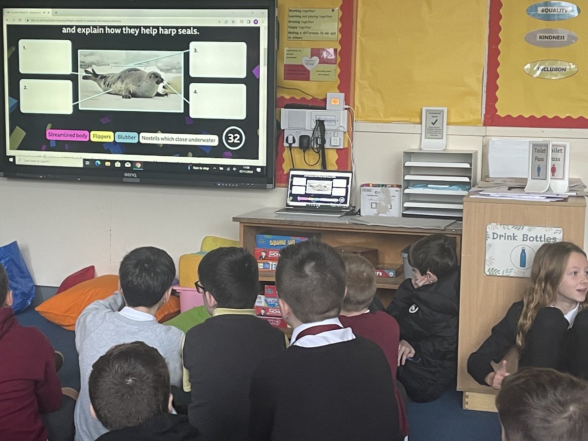 SchoolBraehead's tweet image. Primary 6/7 and 7 took part in Frozen Planet Part 2 live lessons #bbcteach  exploring the coldest places on Earth and the impact of climate change on the icy habitat of harp seal pups. The children then researched COP 27 and created posters which included interesting questions.😀