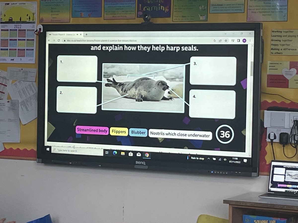 SchoolBraehead's tweet image. Primary 6/7 and 7 took part in Frozen Planet Part 2 live lessons #bbcteach  exploring the coldest places on Earth and the impact of climate change on the icy habitat of harp seal pups. The children then researched COP 27 and created posters which included interesting questions.😀