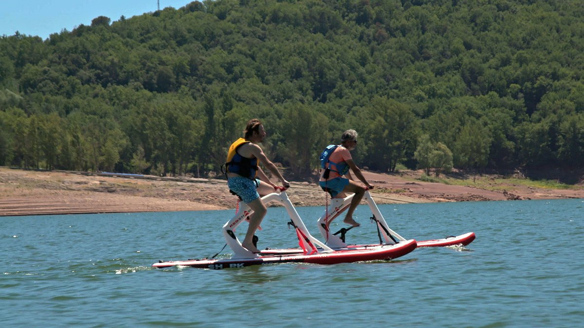 El Foraster tweet media