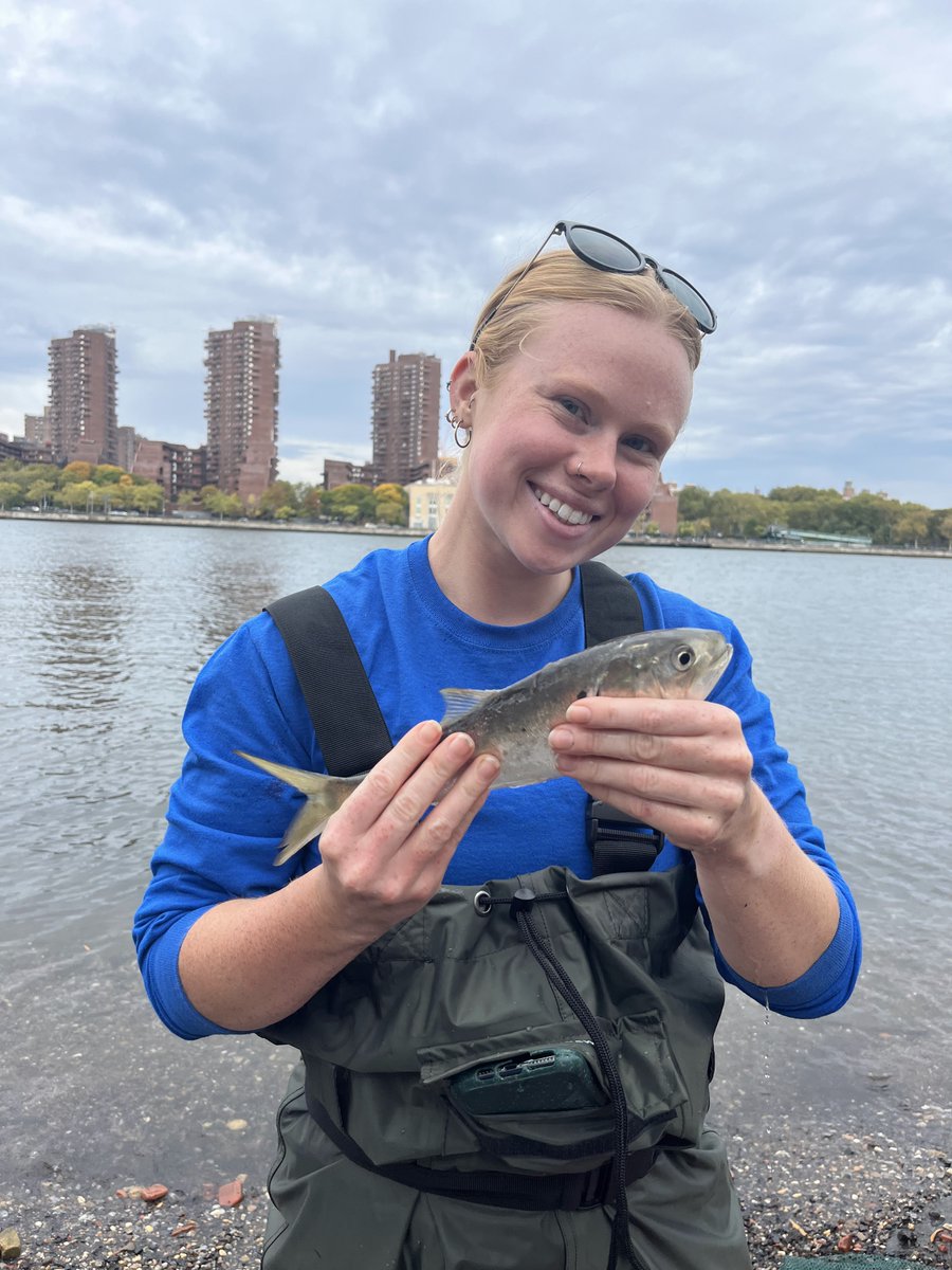 Calling all students! We have a PAID internship opportunity for estuarine research. In this position you will be working with our Natural Areas team on a research project of your own design. You will also be exposed to many STEM-related careers.

Apply: bit.ly/3FJ6yyz