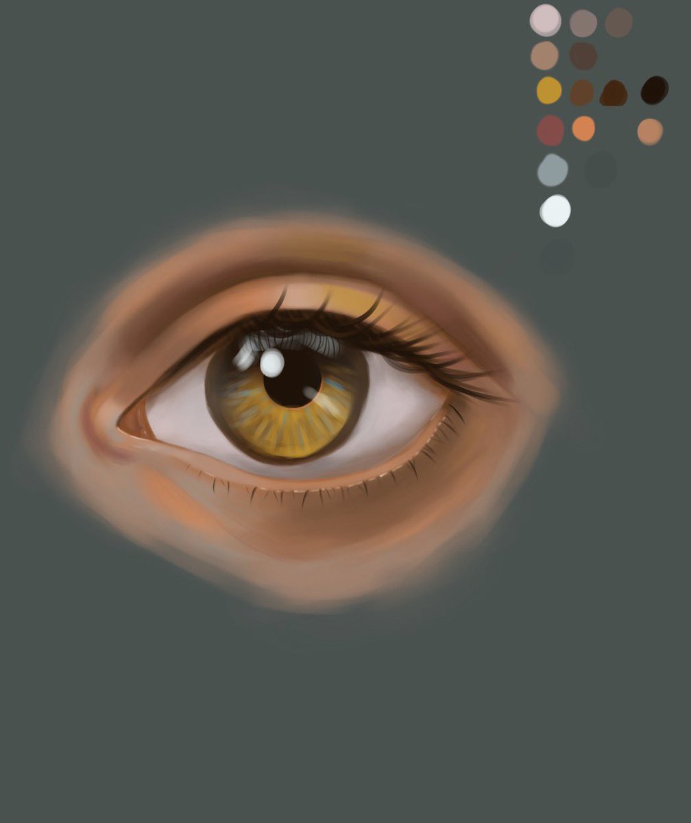 itsliamali's tweet image. Study day 1 🌿 #digitalpainting