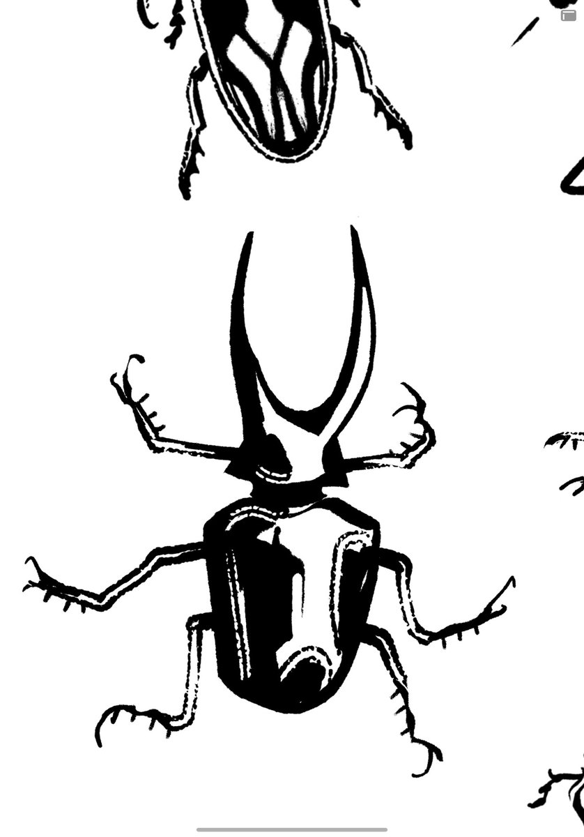 still drawing bugs 