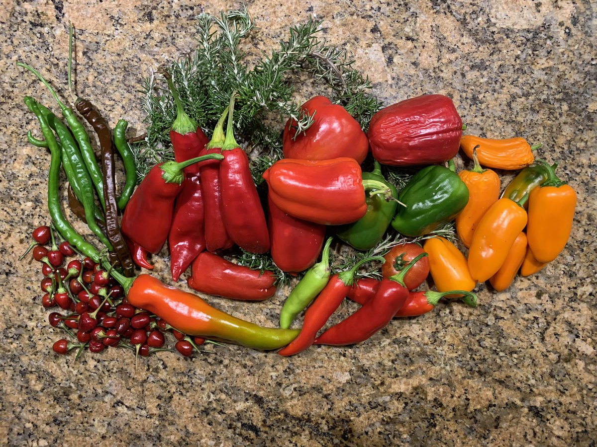 JstKnst's tweet photo. Een nieuw experiment, zelf sambal maken. Goed gelukt! 🔥🔥🔥😋 https://t.co/TiFkD5A7xD