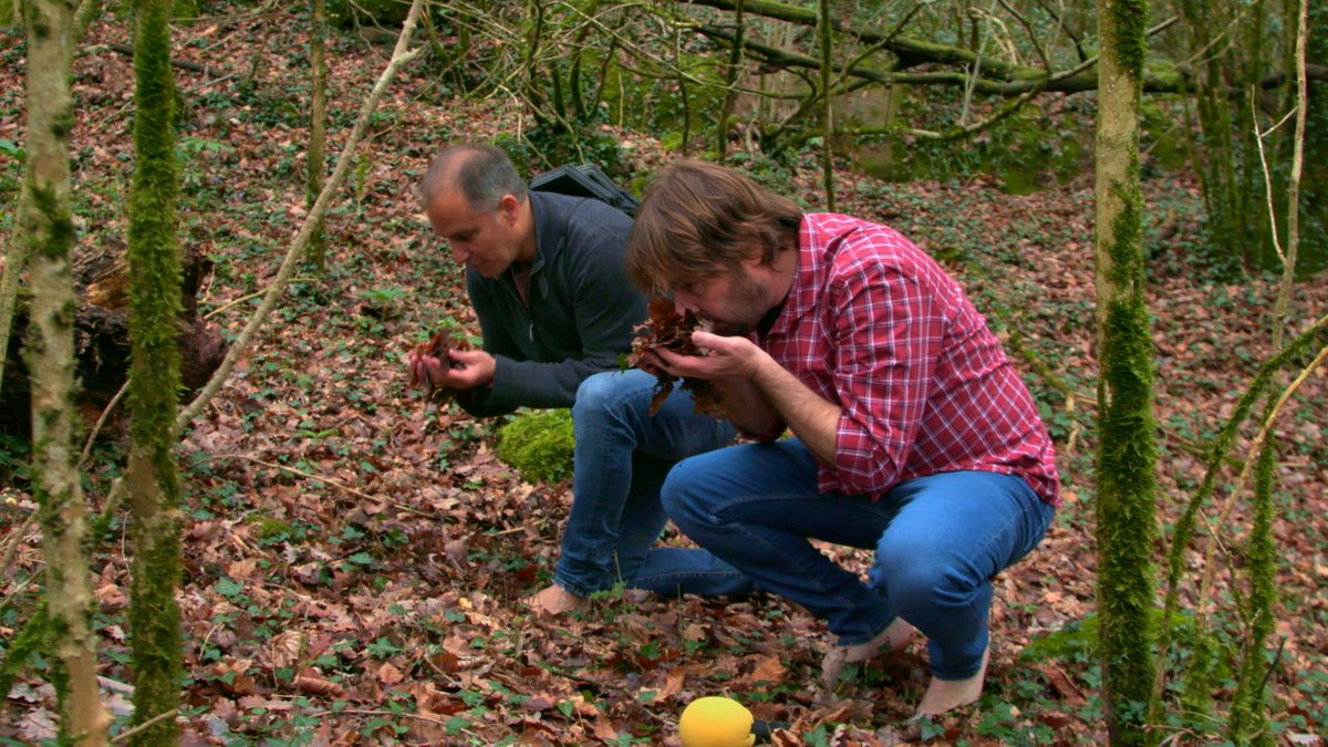 El Foraster tweet media