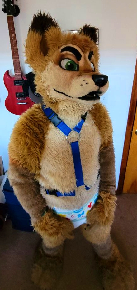 Fuck Musk tweet media