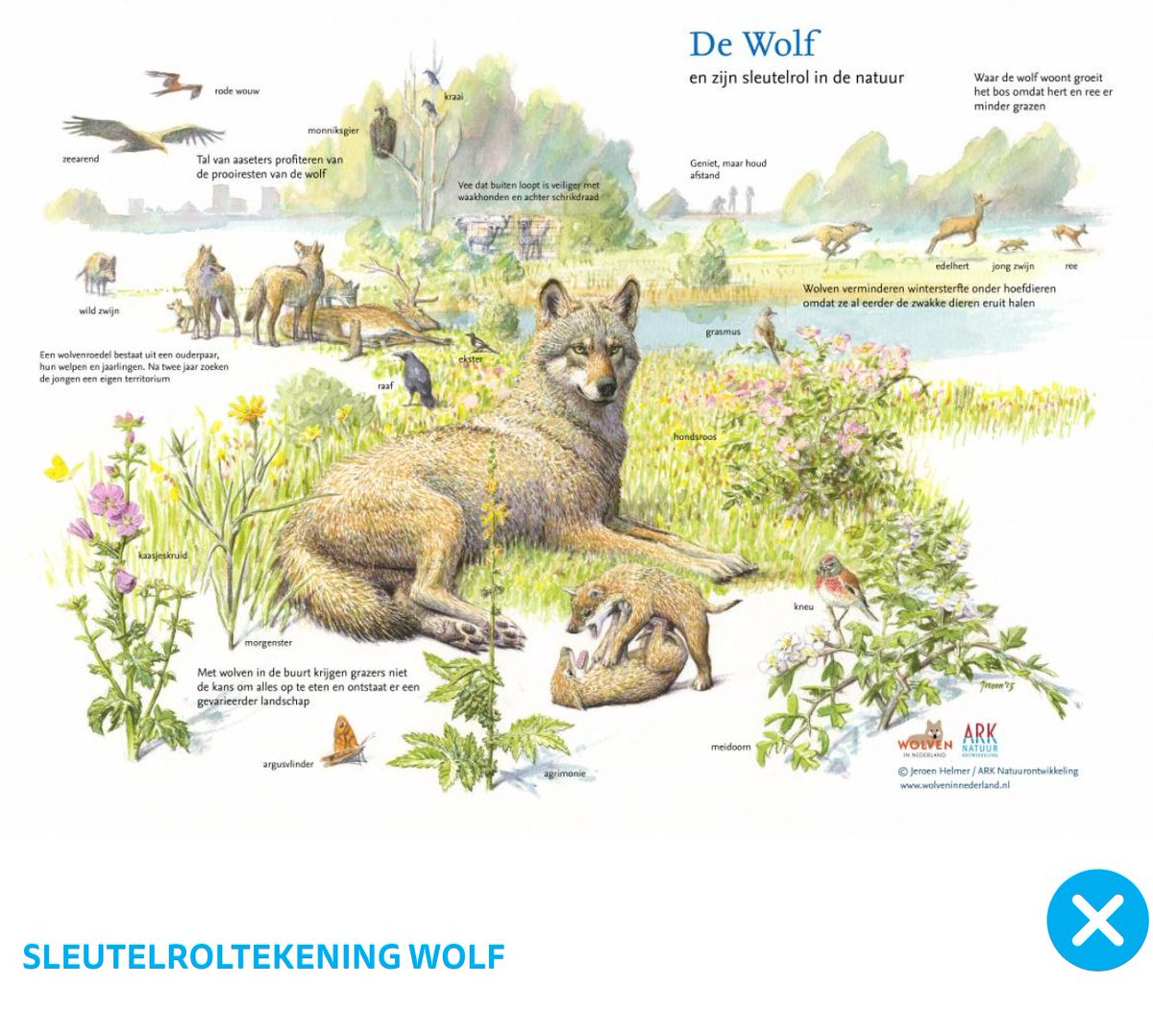 De Faunabescherming tweet media