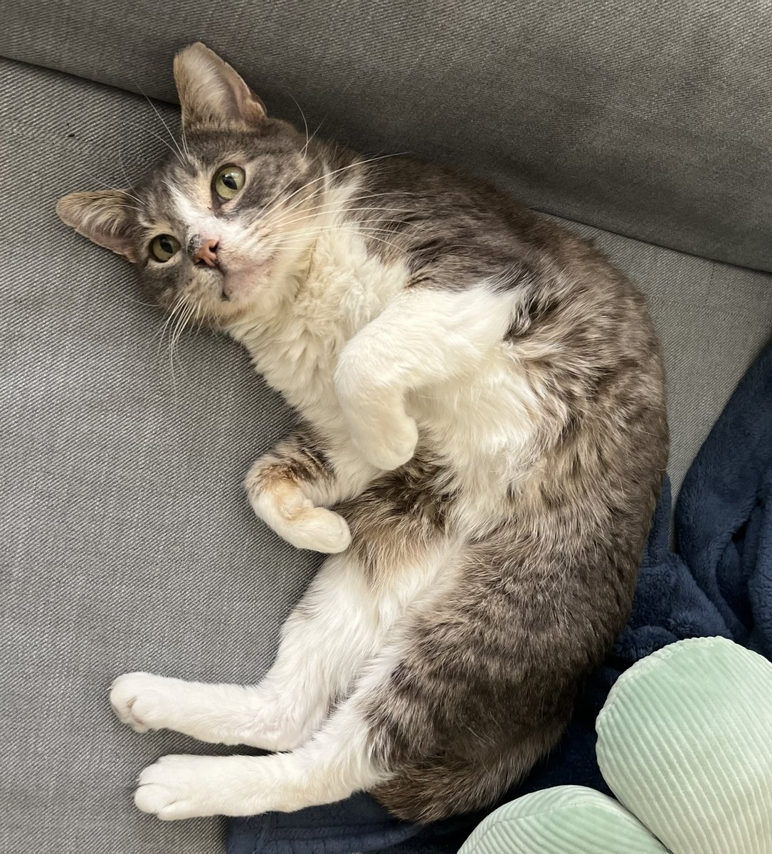 got a beautiful tattoo for my beautiful boy :,) ❤️