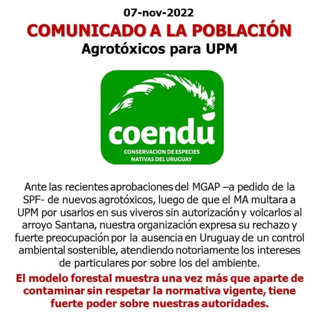 COENDU (@coenduong) on Twitter photo 