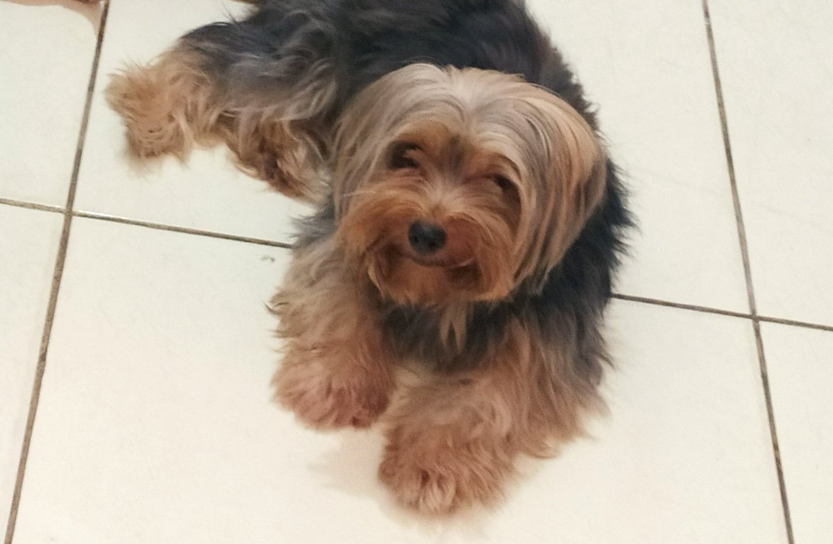 prjmo's tweet photo. a cara da meliante https://t.co/0WuCoYPfTK