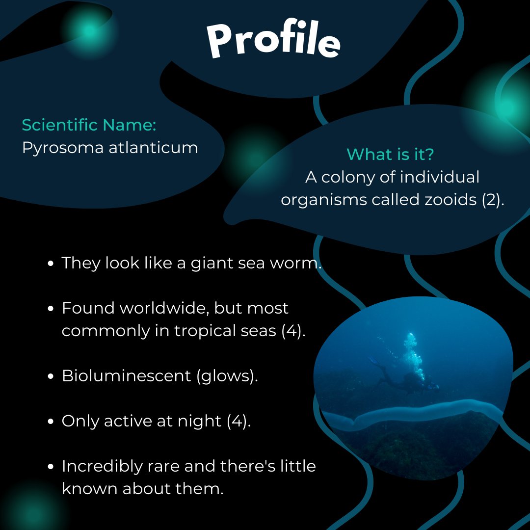 STEM Fellowship tweet media