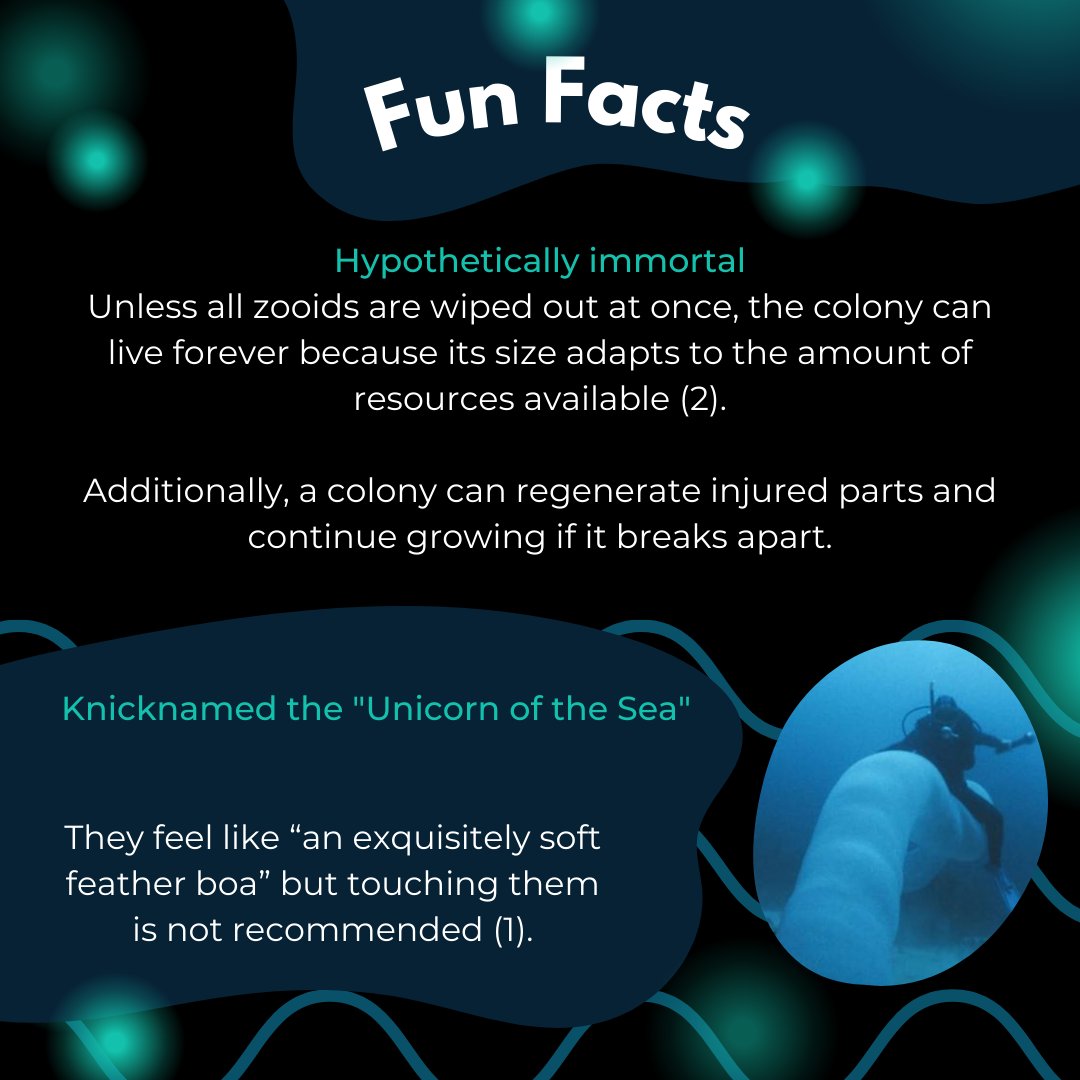 STEM Fellowship tweet media