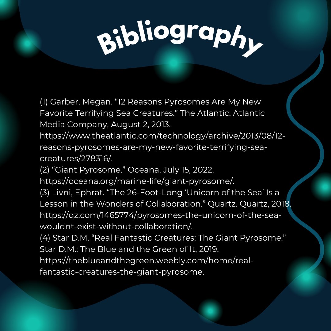 STEM Fellowship tweet media