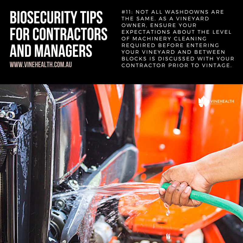 VinehealthAus's tweet photo. Tip #11: Not all #washdowns are the same. As a #vineyard owner, ensure your expectations about the level of machinery cleaning required before entering your vineyard and between blocks is discussed with your #contractor prior to vintage. #Vinehealth https://t.co/CTXNeITGfE https://t.co/aPq7DNpafK