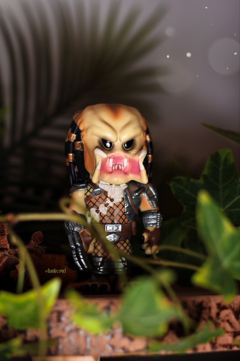 MeLumos's tweet photo. Nov 7 • Retro 🌴

Day 1 of November #FunkoPhotoADayChallenge from @originalfunko ✨

#funkofamily https://t.co/JXT1Bvnfqa