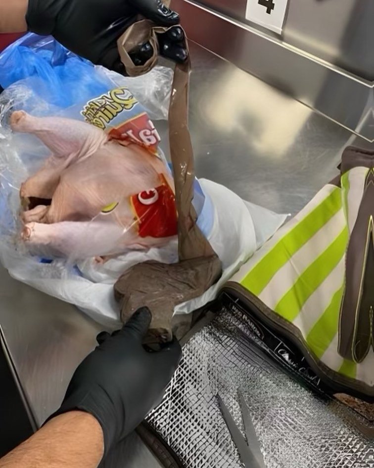 TSA's tweet photo. There’s a personal fowl here. Our officers @FLLFlyer made this very raw find. We hate to break it to you but stuffing a firearm in your holiday bird for travel is just a baste of time. So, don’t wing it, you'll find all the proper packaging info here: https://t.co/Zm2XnorDx7 https://t.co/BpdbEwwouX
