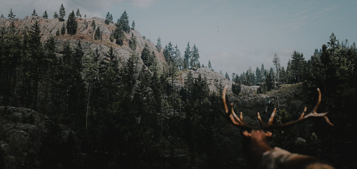 wistfulembrace's tweet image. Red Dead Redemption 2