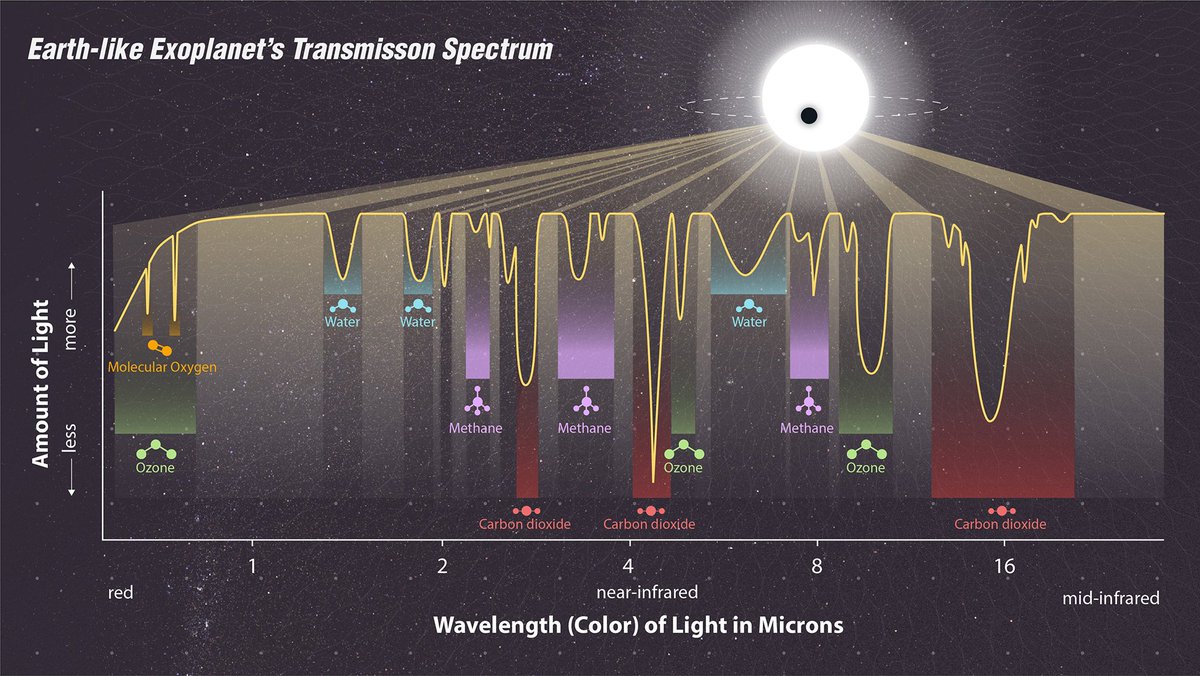 astroaline's tweet photo. Diferentes moléculas se manifestam em diferentes regiões do espectro. Por isso, se quer ver uma molécula específica, precisa saber onde procurar 🔎

Em exoplanetas, compostos como H2O, CO2 e CH4, muito comuns na atmosfera, aparecem, principalmente, no INFRAVERMELHO.

#AstroMiniBR https://t.co/ZrdNG9yT8M