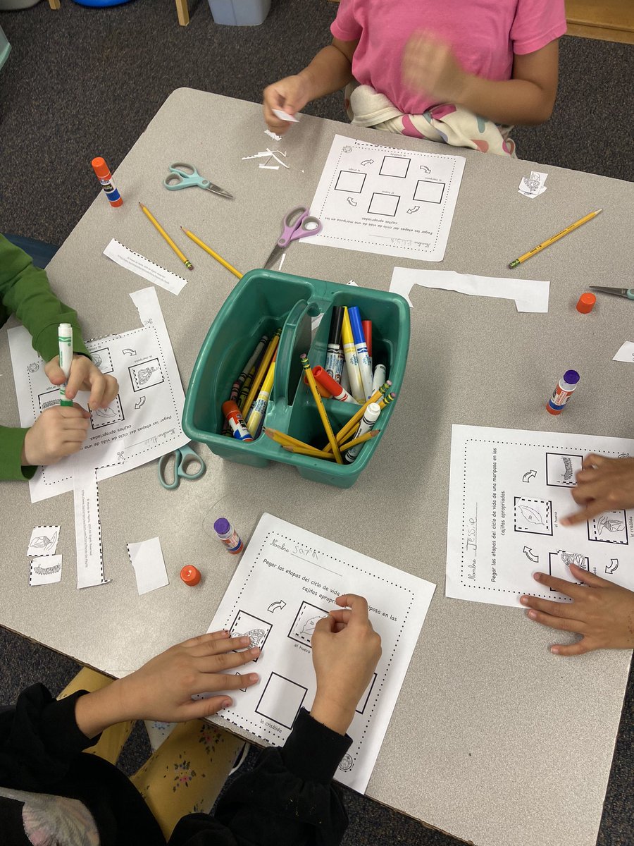 KruppSrta's tweet photo. 2nd graders in Miss Hammersmith’s class did a great job of identifying the different stages of a butterfly’s life cycle in Spanish! 🦋 #elementaryspanish #monarchs #hcsd @BNLC_HCSD https://t.co/gmEABNHYBH