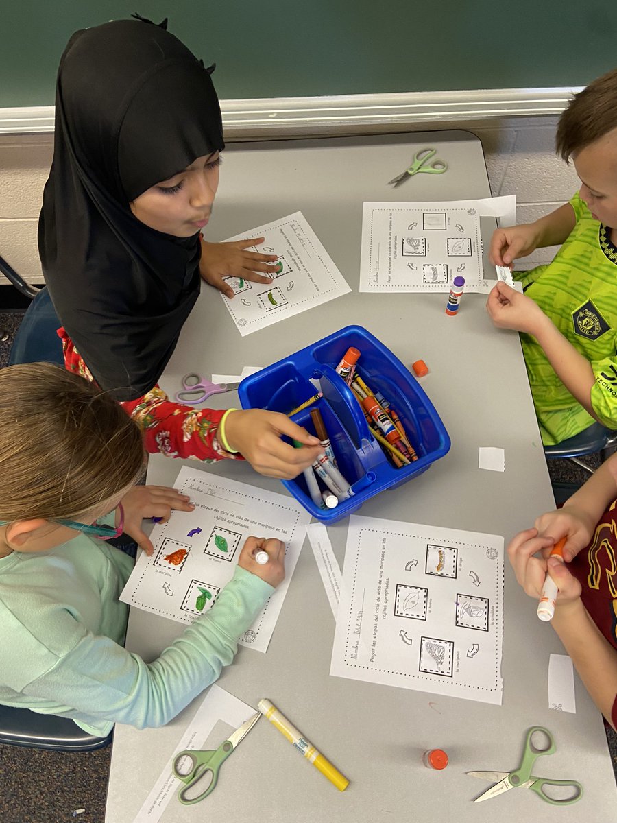 KruppSrta's tweet photo. 2nd graders in Miss Hammersmith’s class did a great job of identifying the different stages of a butterfly’s life cycle in Spanish! 🦋 #elementaryspanish #monarchs #hcsd @BNLC_HCSD https://t.co/gmEABNHYBH