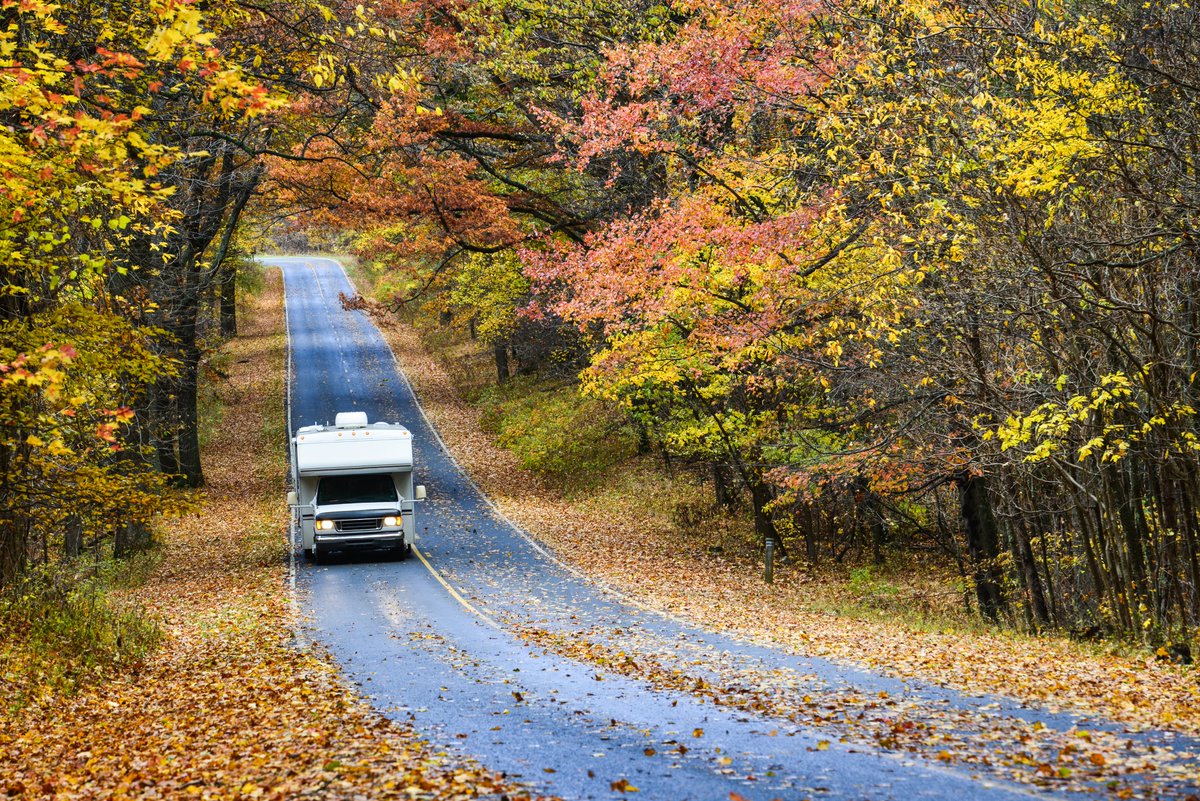 Foremost's tweet photo. Have you ever visited a national park in the fall? https://t.co/AAiYGiIhe4