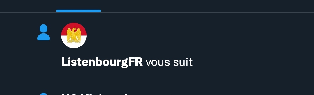 Ambassade de Suisse au Listenbourg tweet media