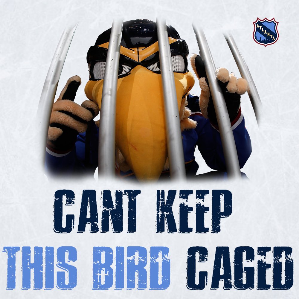 NHLtoAtlanta's tweet photo. Mark your calendars for December 16! Thrashers Night is going to be huge! The @atlgladiators will be facing off against the @SwampRabbits wearing specialty jerseys and will be accompanied by the most menacing bird in all of Georgia! https://t.co/2s2c1YWKwV