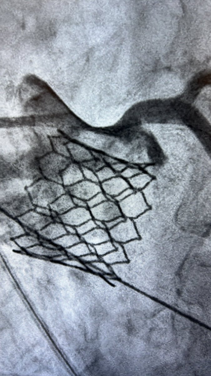 Pablo Lamelas 🇦🇷🇨🇦 tweet media