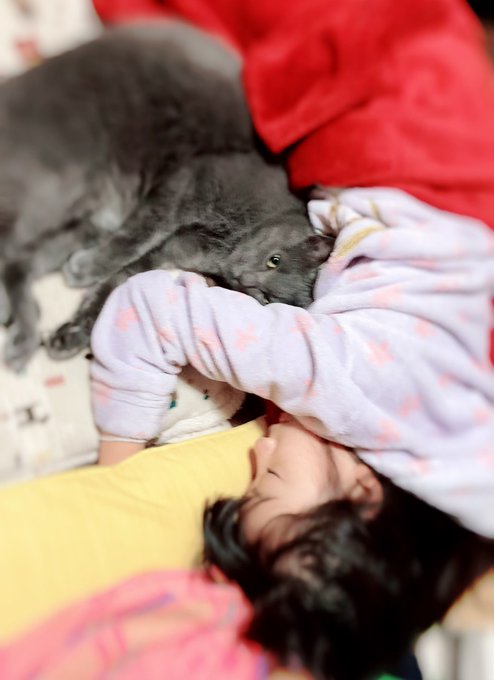 Twitterのコスプレ画像13