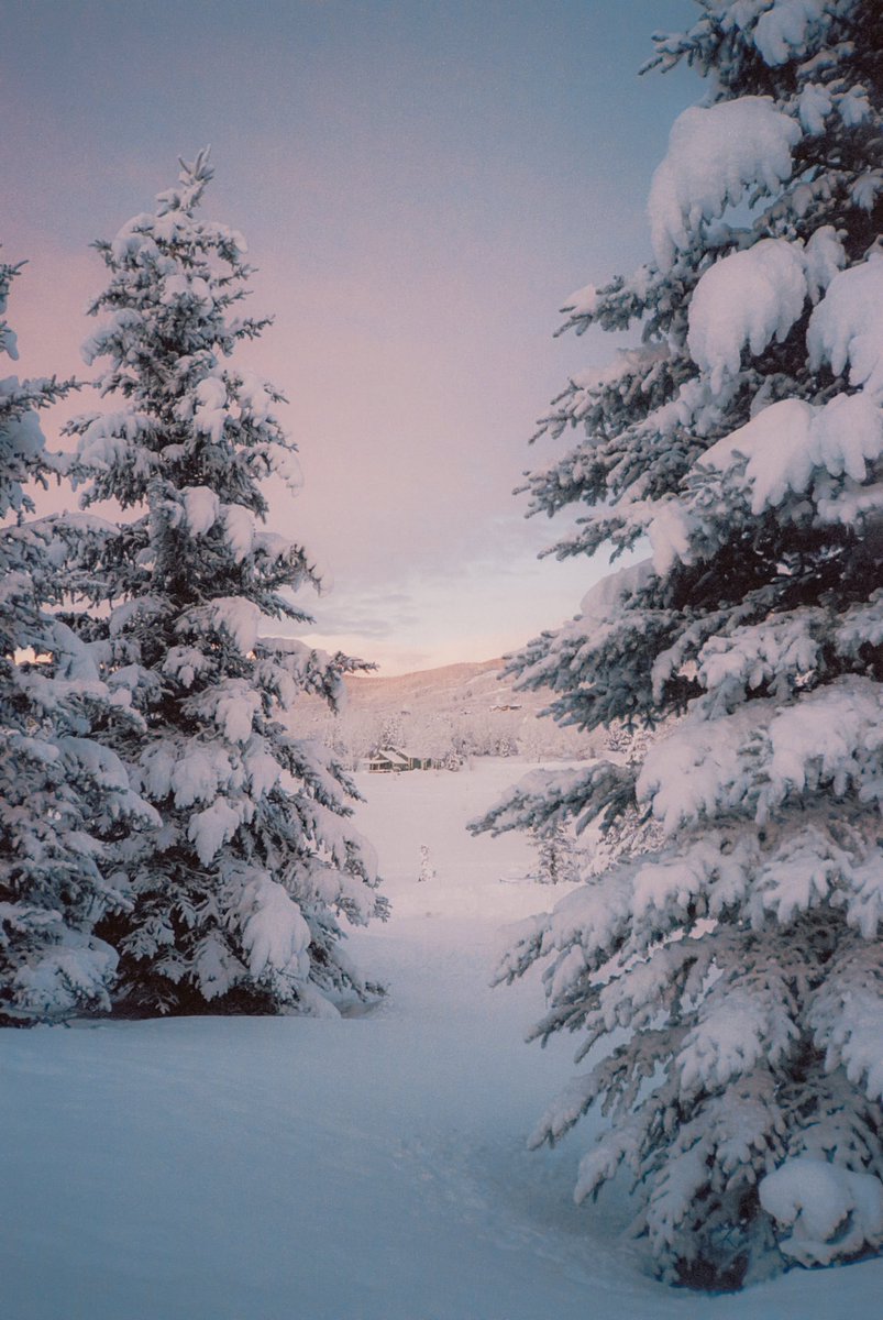 AlexKittoe's tweet photo. A blanket of snow 🎞 https://t.co/DWFnEgwu0C
