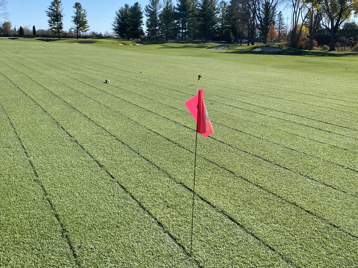 LHCC Grounds tweet media