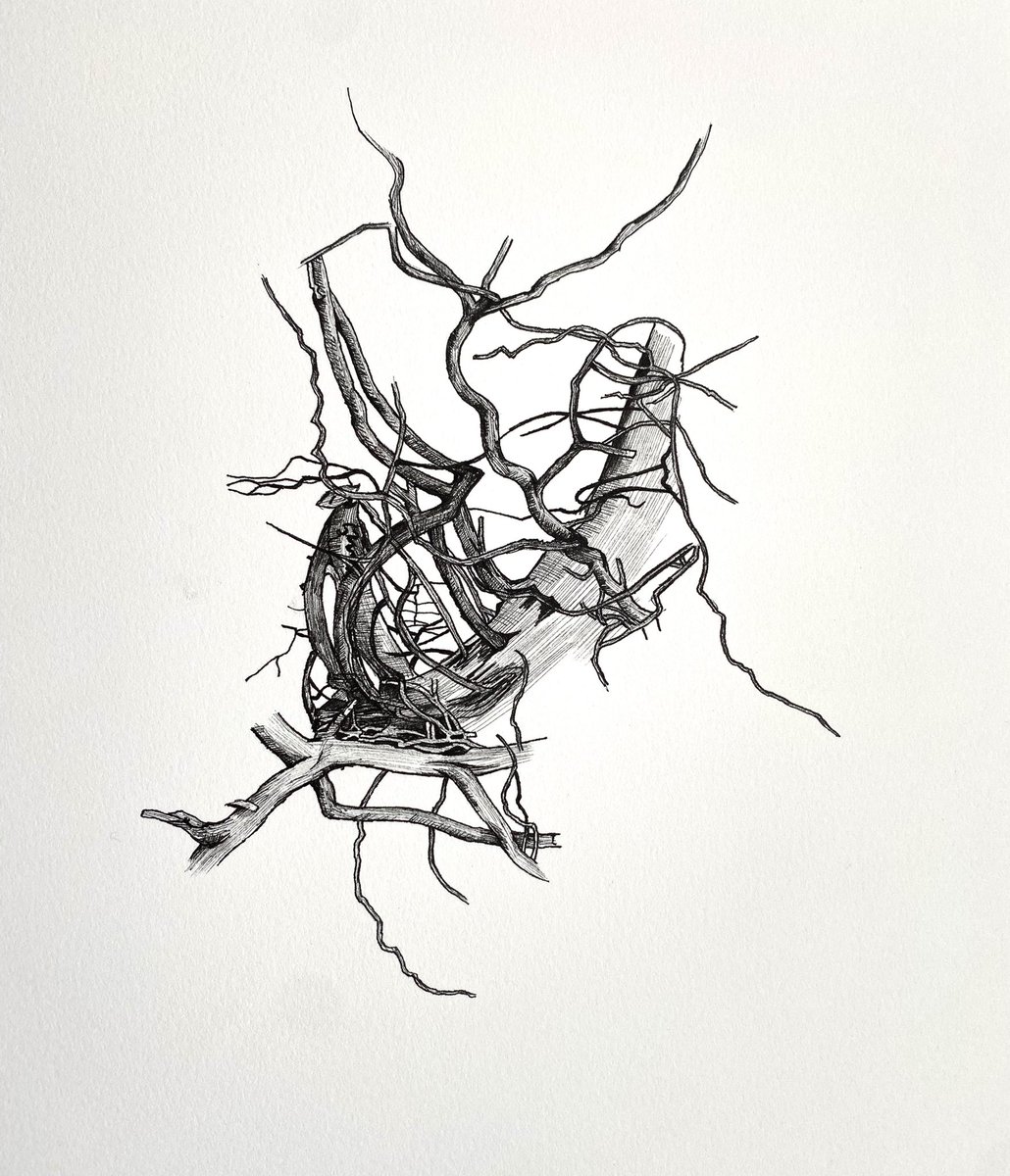 Elizabeth Adlam tweet media