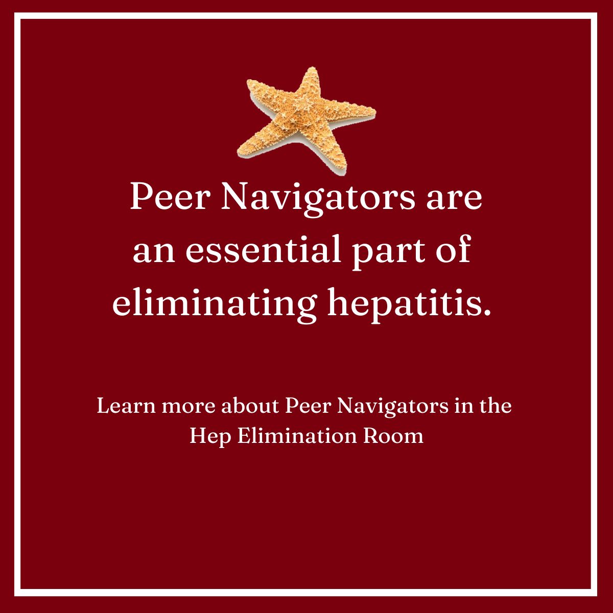 Caring Ambassadors Hepatitis C Program tweet media