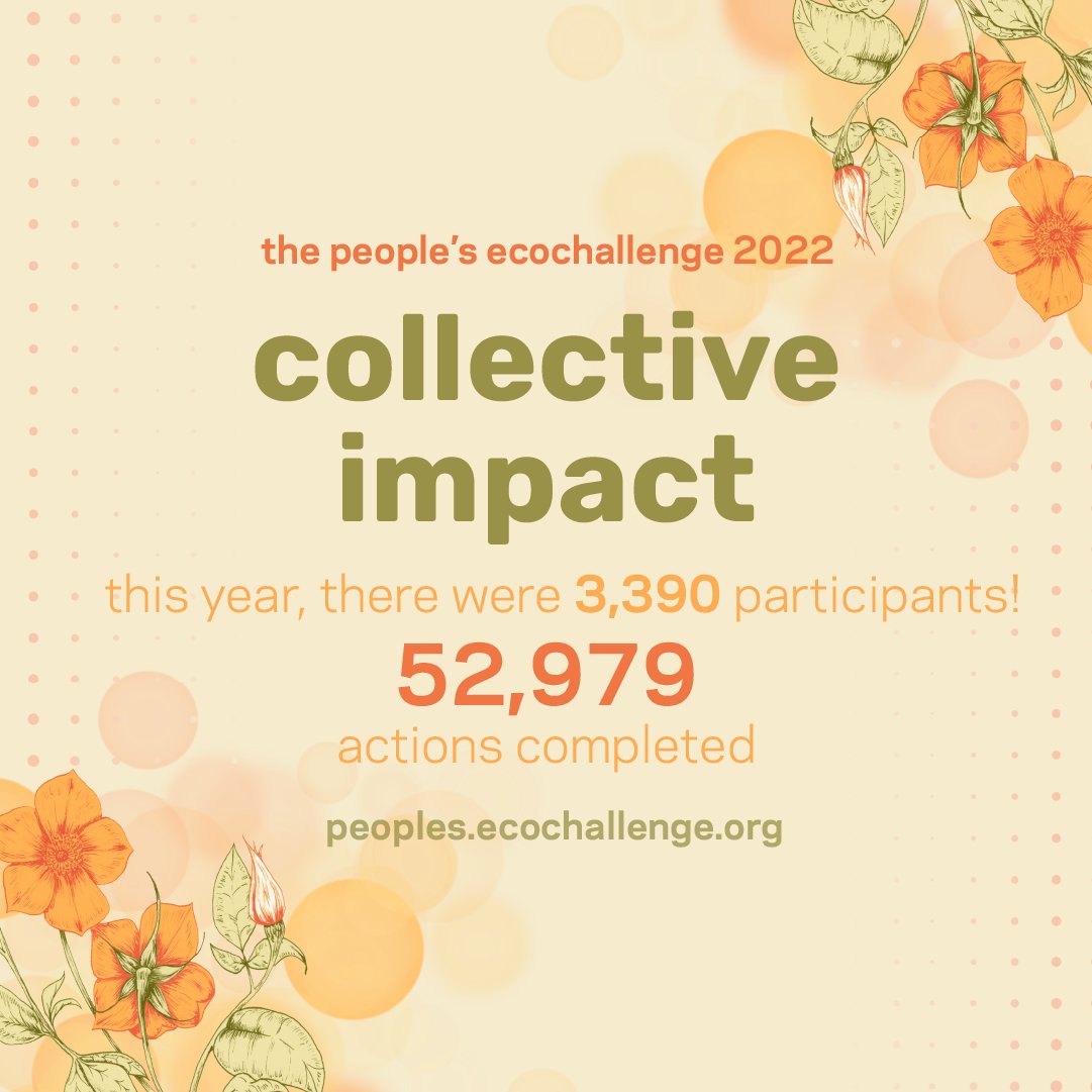 Ecochallenge.org tweet media