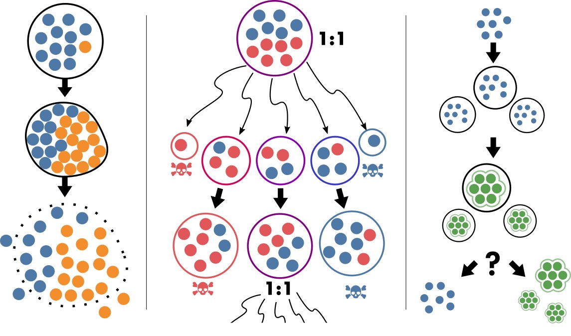 Frozen account of Guilhem Doulcier (@geeklhem) on Twitter photo Tomorrow at the Paradox of the Organism (Revisited) conference hosted by <a href="/PattenLab/">Patten Lab</a> & <a href="/arvidagren/">Arvid Ågren</a>, I will be discussing the Ecological Scaffolding scenario for Evolutionary Transition in Individuality.  Excited to share what those cryptic doodles mean ! paradoxoftheorganism.com Tomorrow at the Paradox of the Organism (Revisited) conference hosted by <a href="/PattenLab/">Patten Lab</a> & <a href="/arvidagren/">Arvid Ågren</a>, I will be discussing the Ecological Scaffolding scenario for Evolutionary Transition in Individuality.  Excited to share what those cryptic doodles mean ! paradoxoftheorganism.com