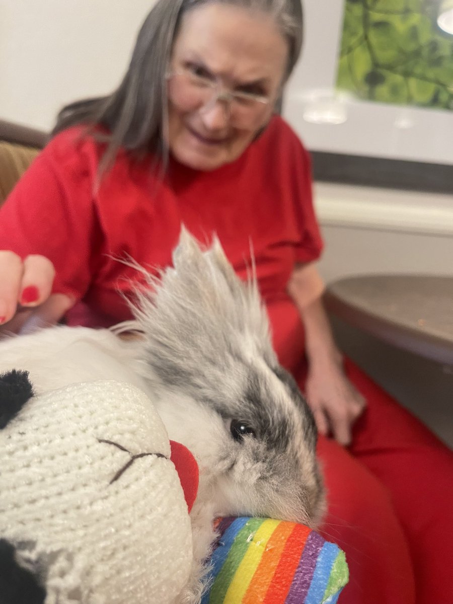 BunSilver's tweet photo. Hey 🐰 Friends, SBB is showing people love and support at a memory care facility in Oakland. She was such a good baby bun with patients 🥰 The staff aides and the directors loved her too! We’re proud @Ashlee_withanE #therapyanimal #seniors #Oakland #Alzheimers #caregivers #love https://t.co/ENSRHsPxnP