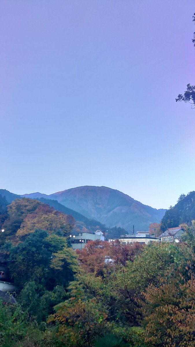 ahnx2Vm67sTxyHR's tweet photo. おはようございます。
今日も行楽日和の晴れです。
昼前後に曇る時間がありそうですが、気温は15℃を越えそうです。

本日も15時閉店となります。 https://t.co/Nr05Bh6dBH
